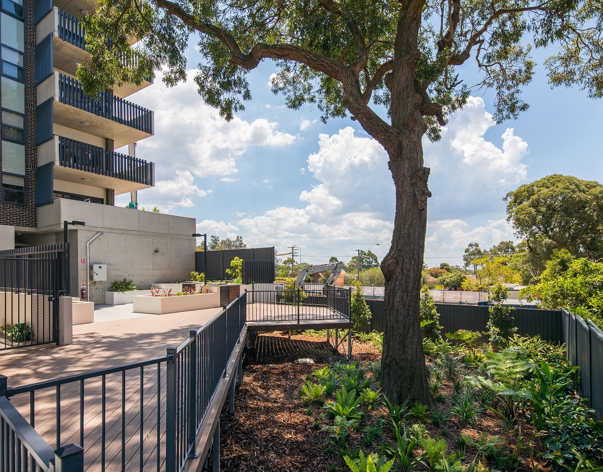 Common area garden and paved area of Belmont Street