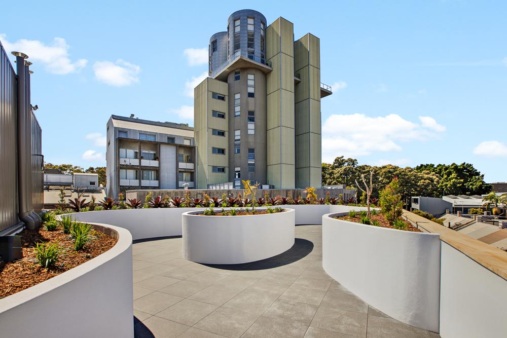 View from rooftop garden to adjacent buildings on sunny day